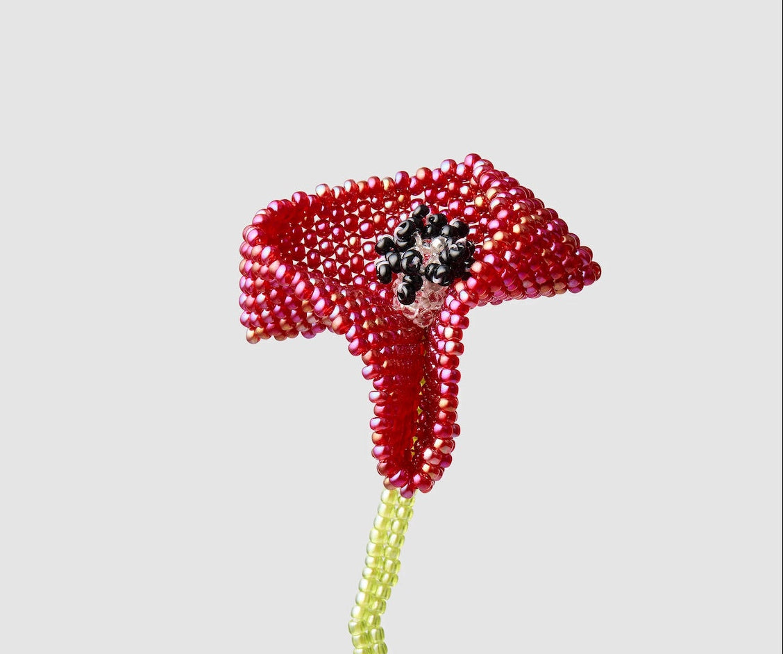 PURA UTZ | BIG POPPY EAR STICK
