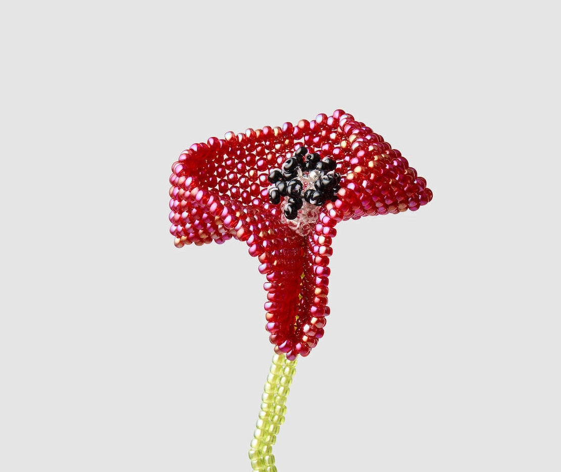 PURA UTZ | BIG POPPY EAR STICK