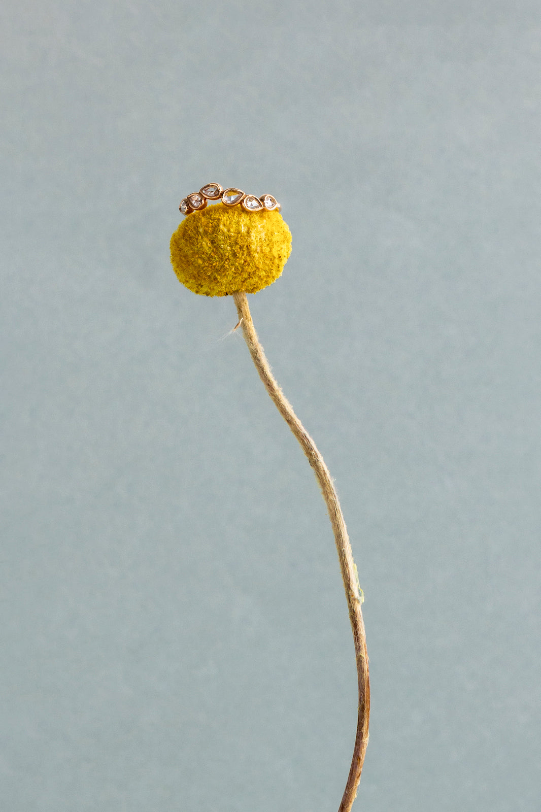 MYRTO ANASTASOPOULOU | PISCES RING