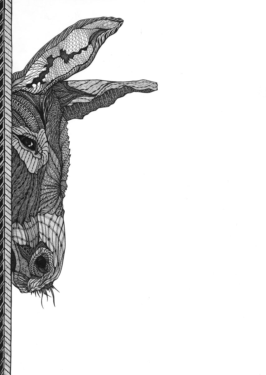 ΔELTAKAPPA | Donkey Sideways