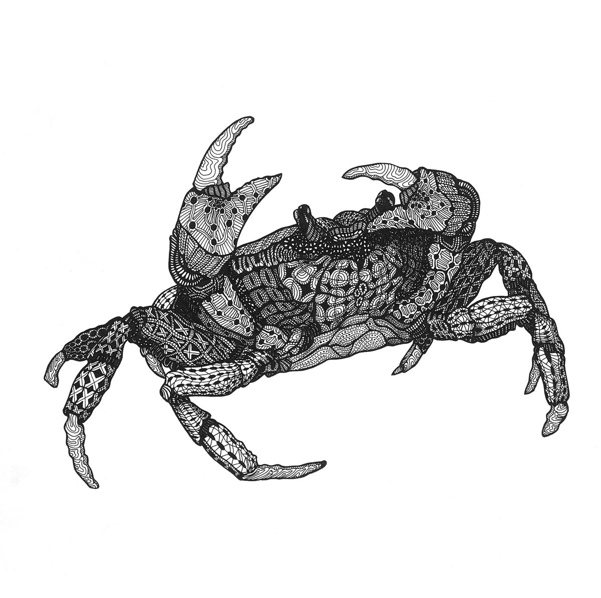 ΔELTAKAPPA | Crab