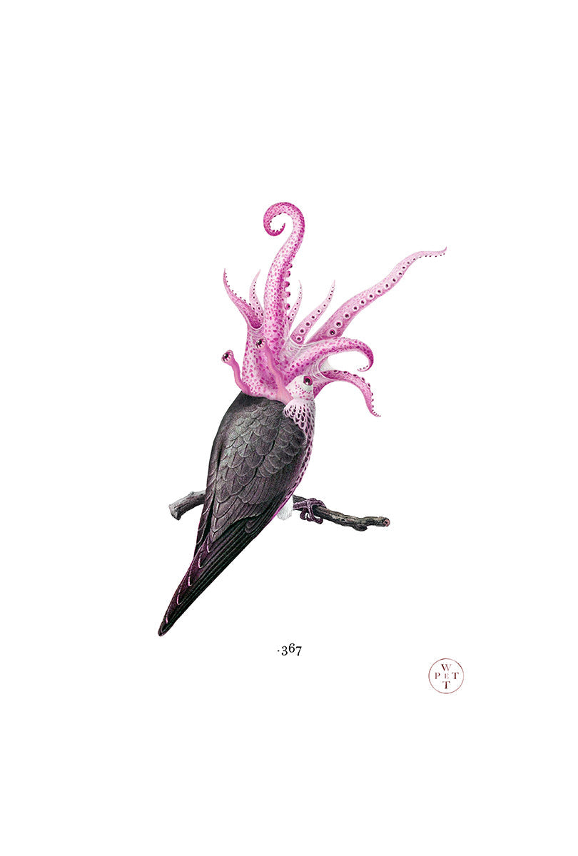 Wet Pet | Pigeon Octopus