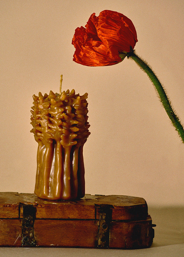 CAMILLE ROMAGNANI | Wheat Bouquet Beeswax Candle