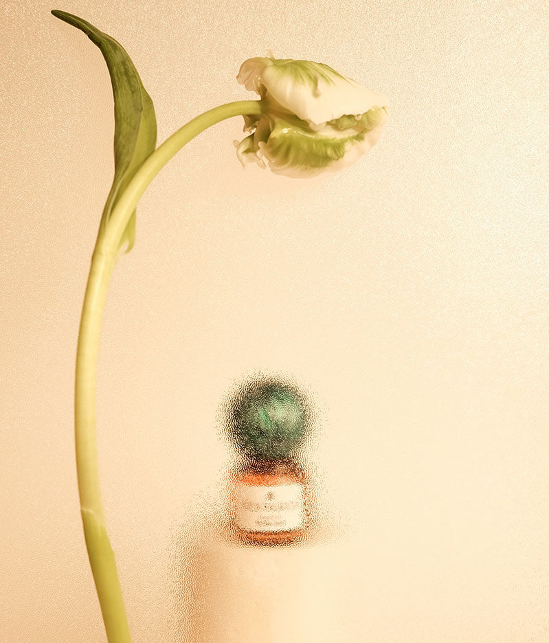 AGUA SAGRADA | Fragrant Oil