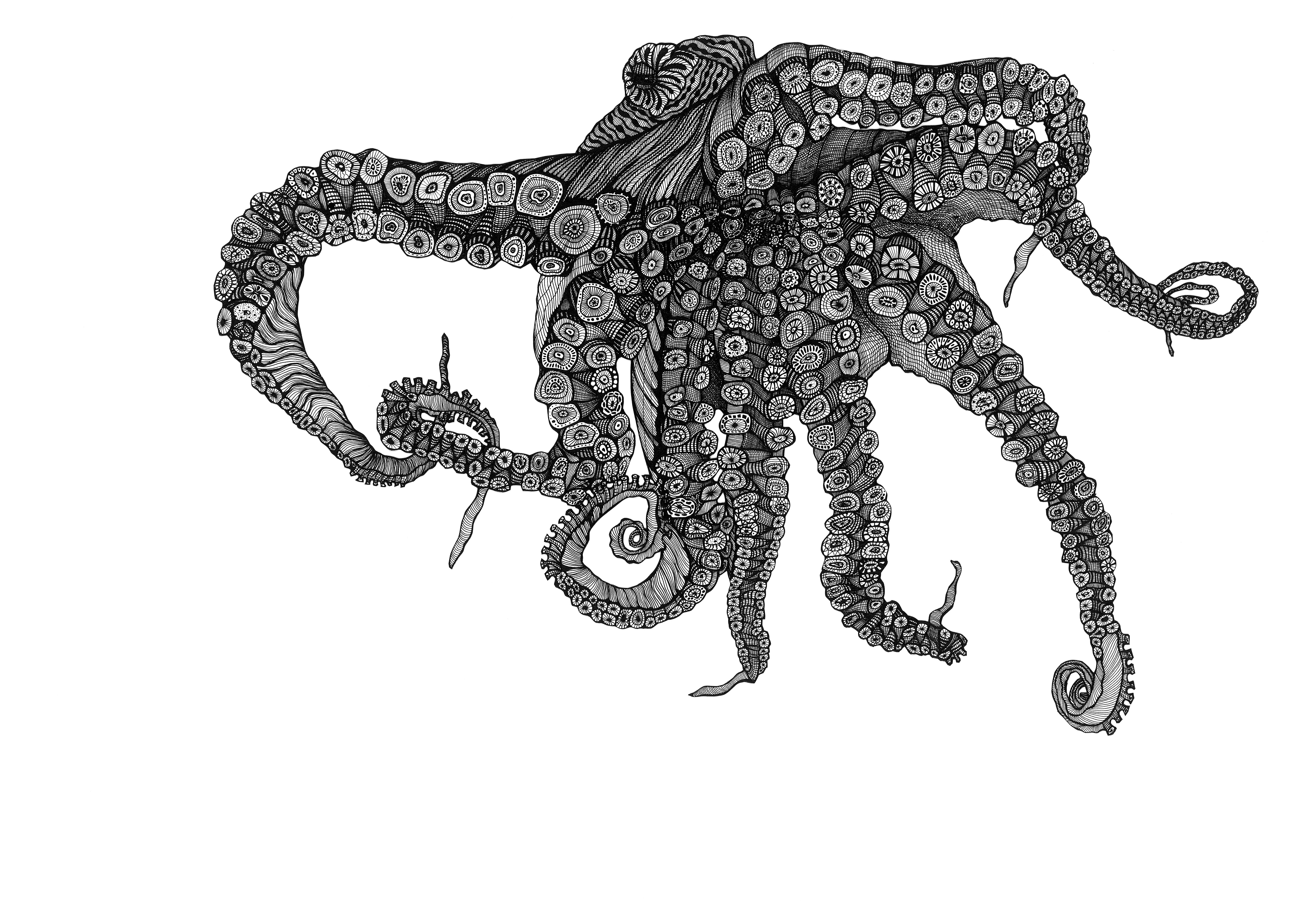 ΔELTAKAPPA | Octopus